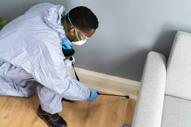 Best Residential Pest Control  in Pine Island Center, FL